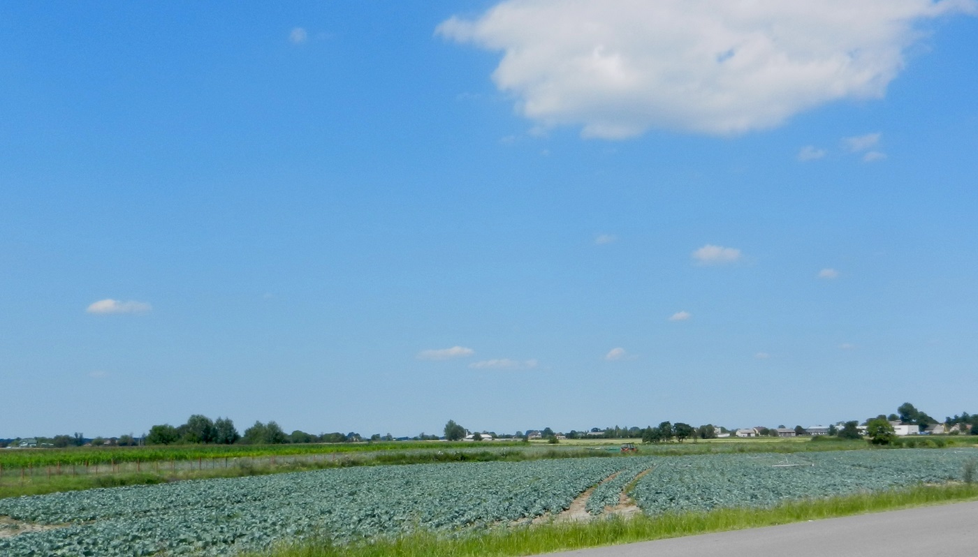 Котовице, image of landscape/habitat.