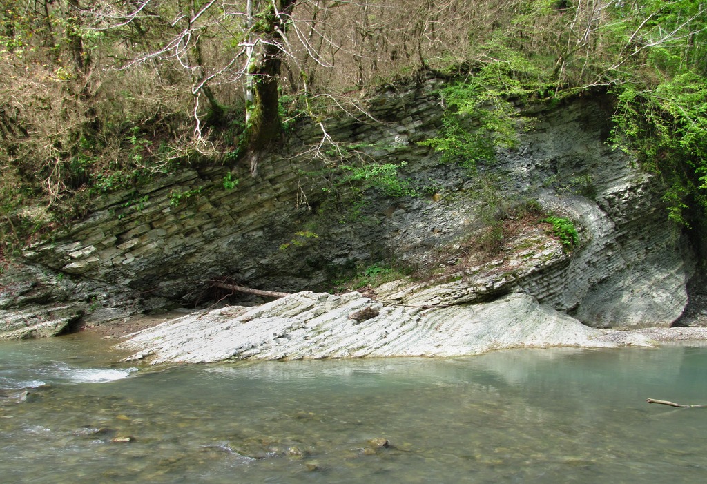 Тисо-самшитовая роща, image of landscape/habitat.