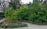 Real Jardín Botánico de Madrid, image of landscape/habitat.