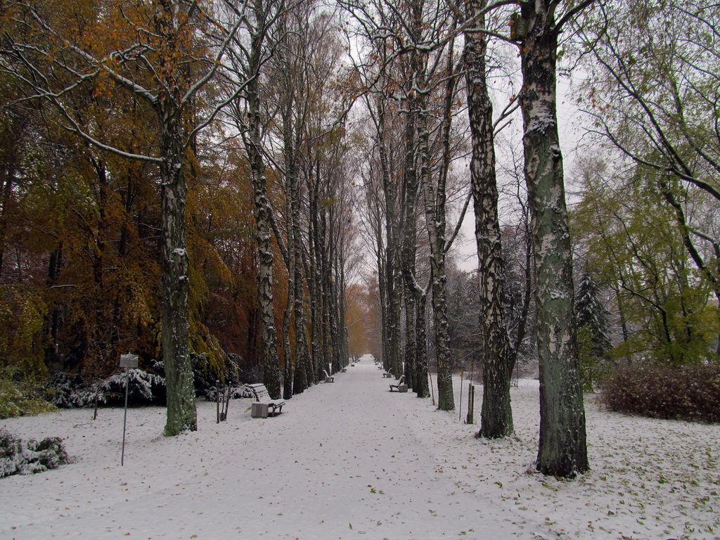 Минск, Ботанический сад, image of landscape/habitat.