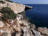 Image of landscape