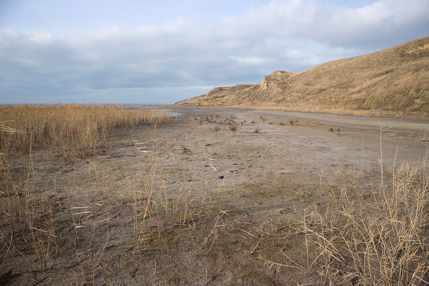 Витязевский лиман, image of landscape/habitat.