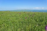 Джангур, image of landscape/habitat.
