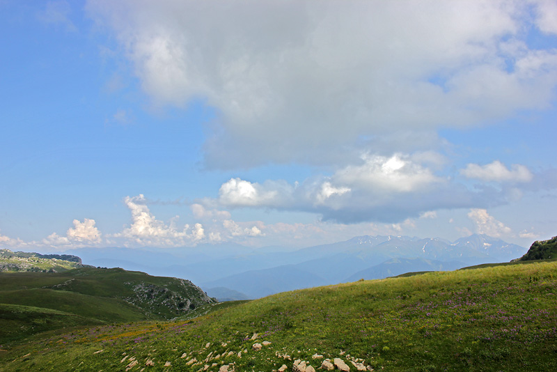 Плато Лаго-Наки, image of landscape/habitat.