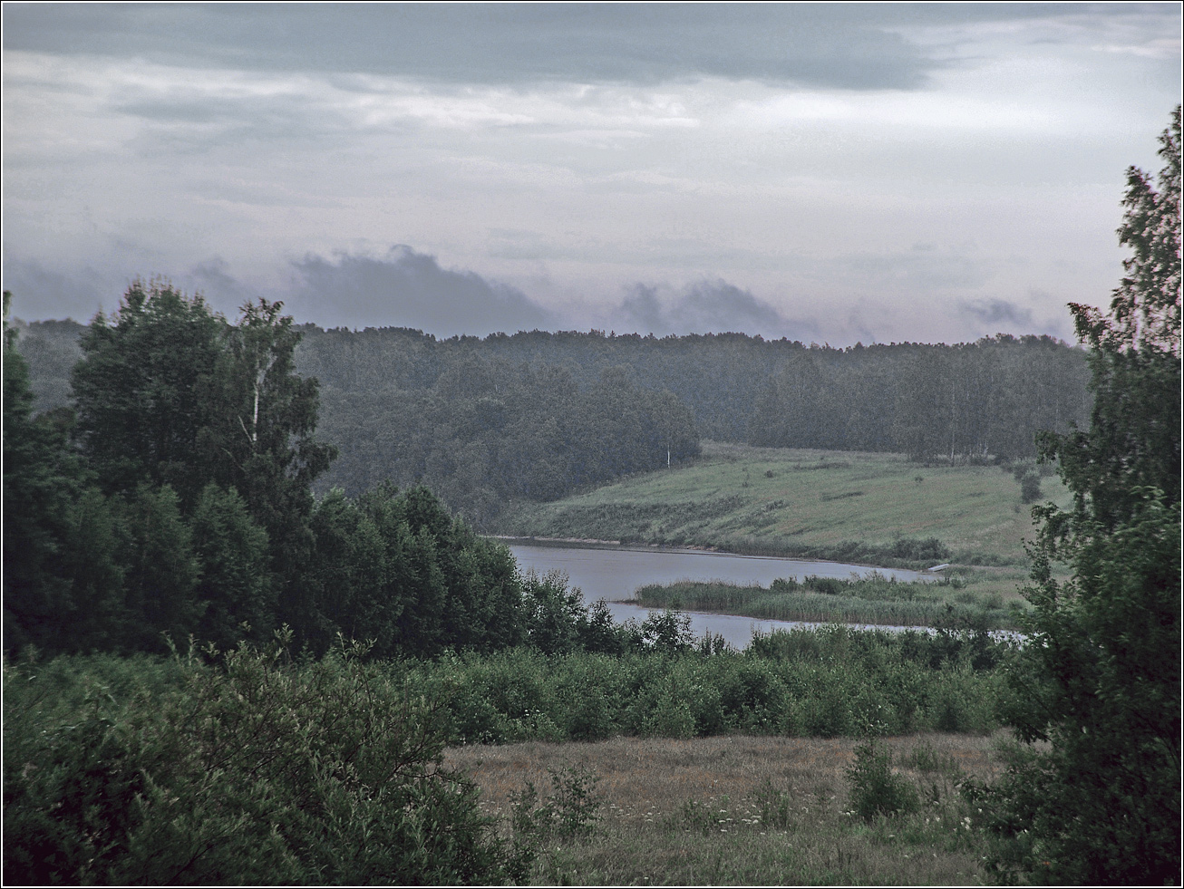 Вазуза, image of landscape/habitat.