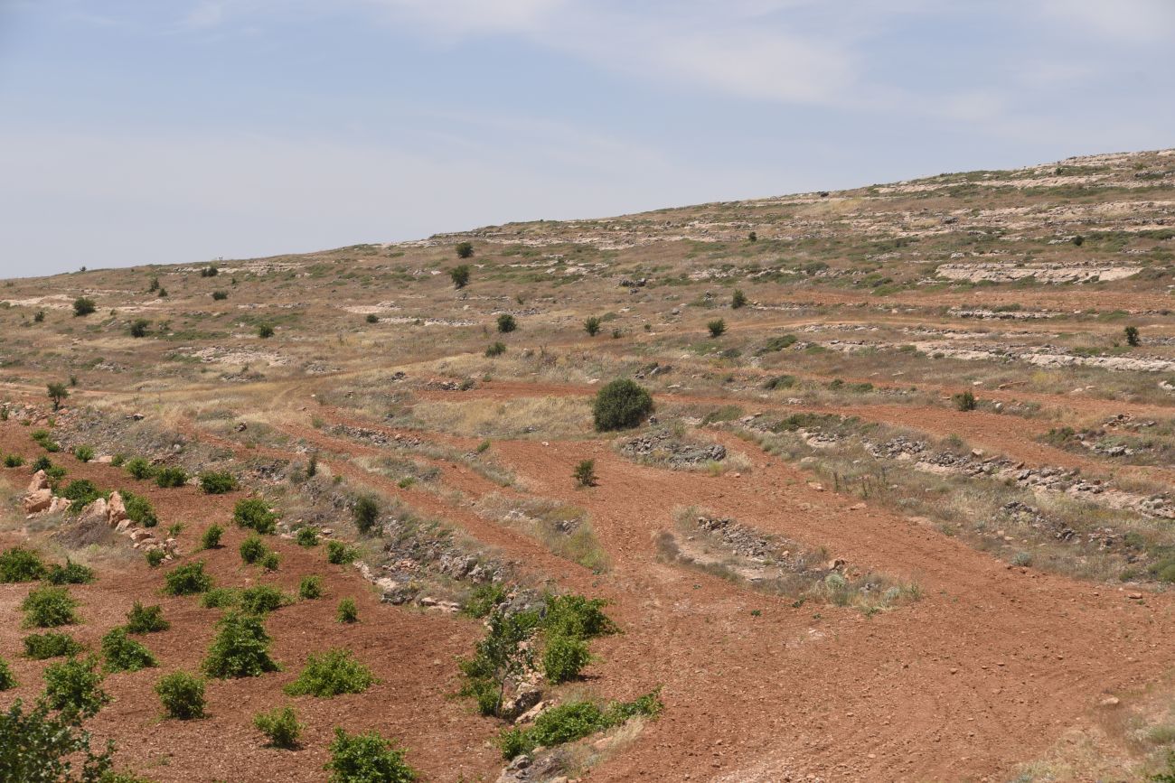 Анытлы (Хах), image of landscape/habitat.