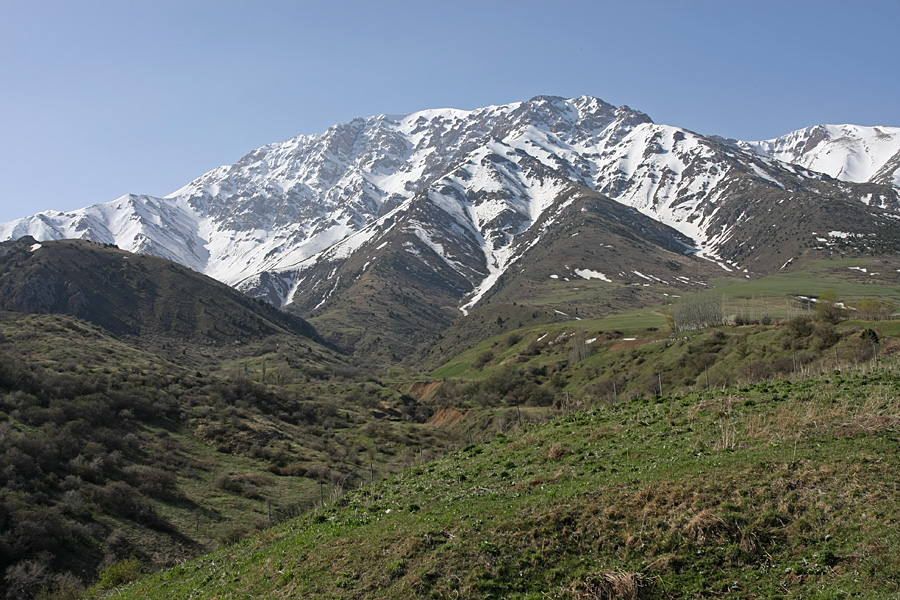 Домик Тризны, image of landscape/habitat.