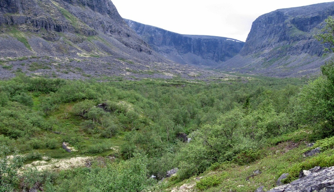 Ущелье Чинглусуай, image of landscape/habitat.