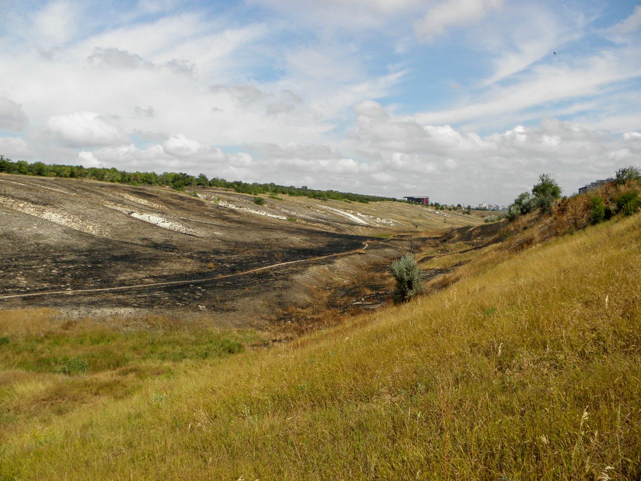 Калмыцкий Яр, image of landscape/habitat.