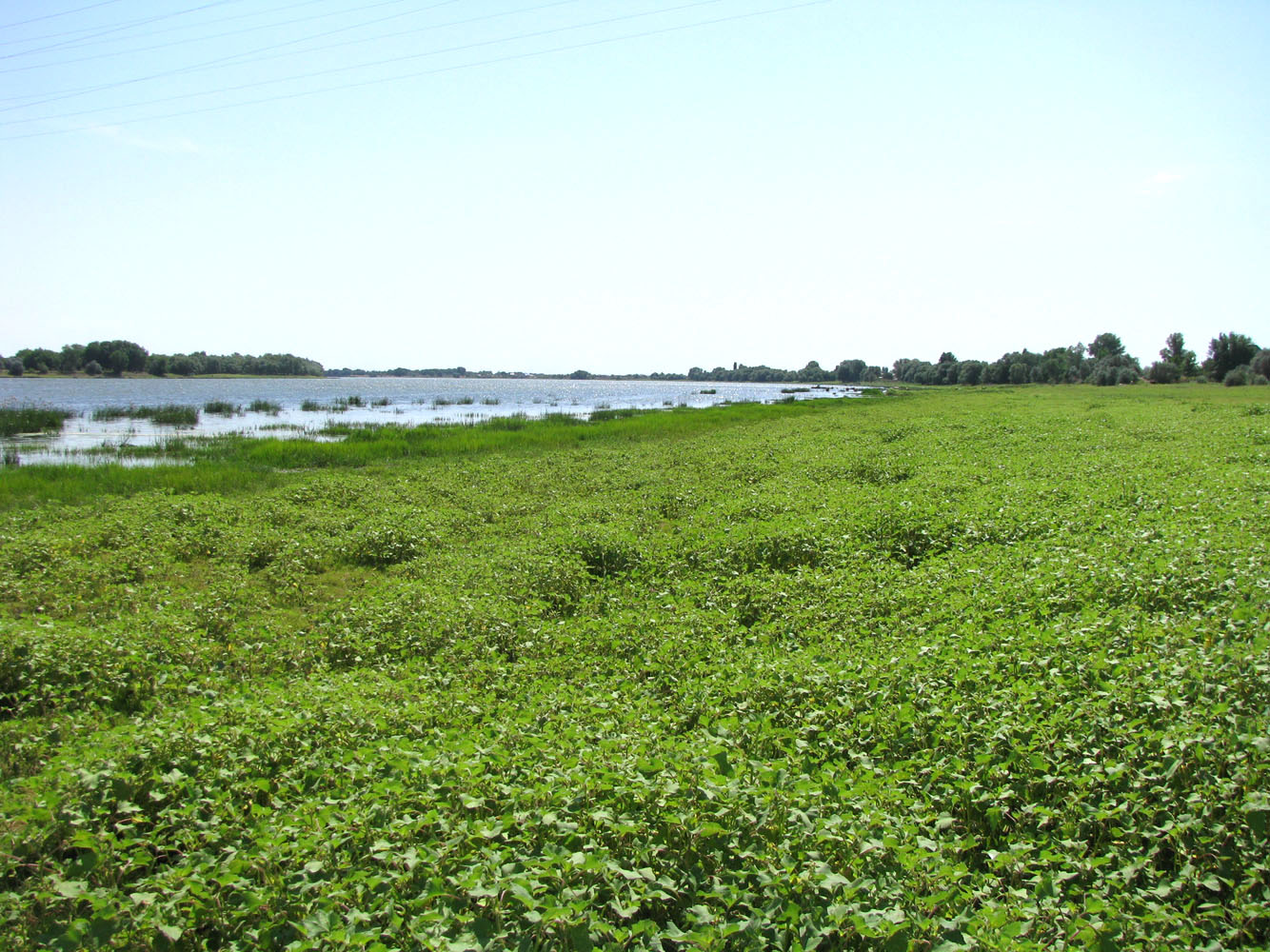 Бузан, image of landscape/habitat.