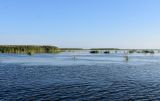 Дельта (нижняя зона), image of landscape/habitat.