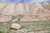 Image of landscape