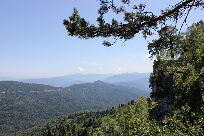 Плато Лаго-Наки, image of landscape/habitat.