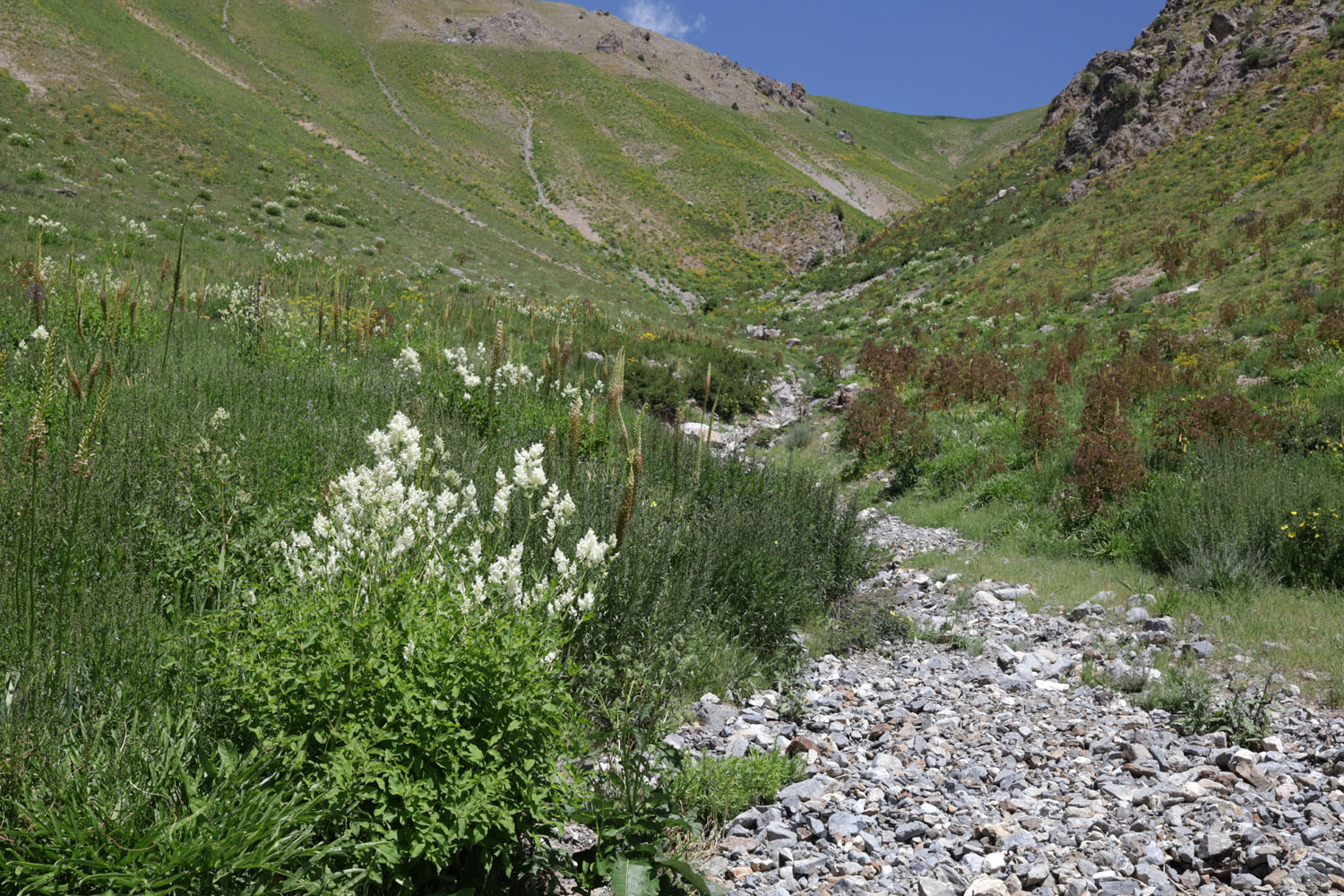 Сияку, image of landscape/habitat.