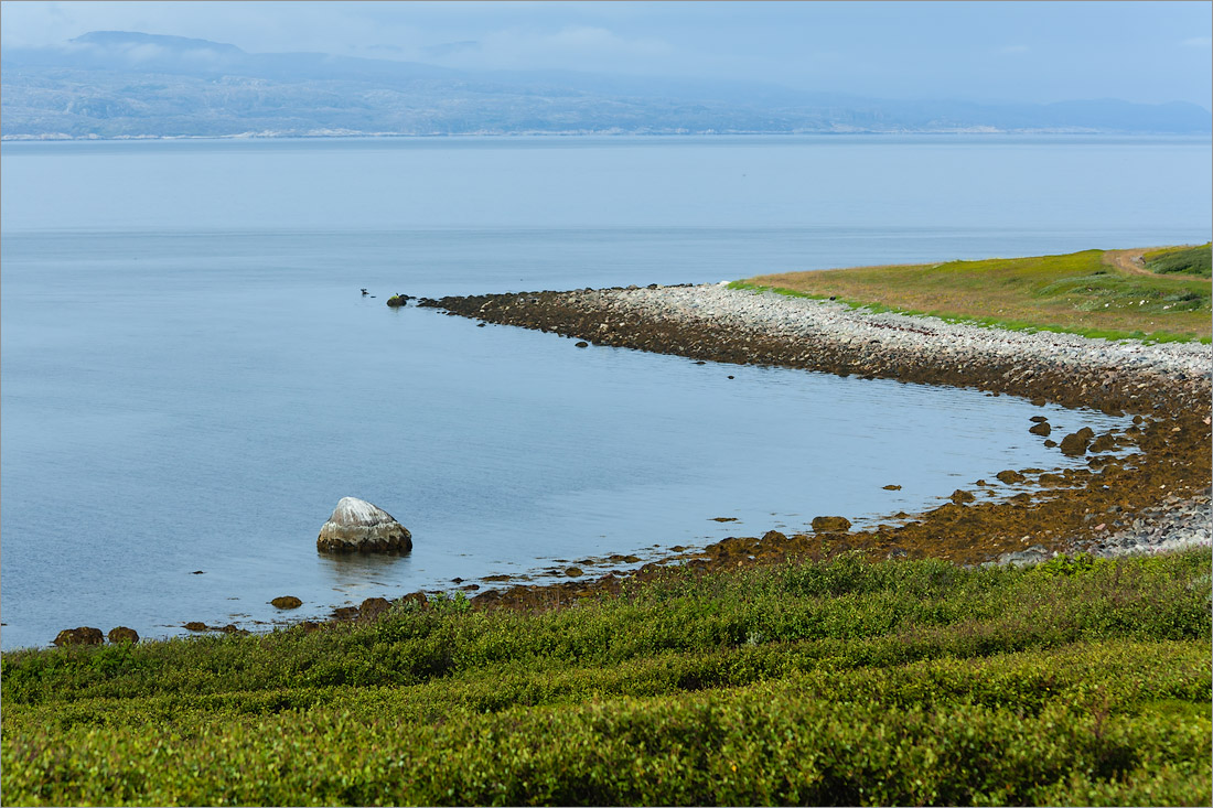 Малая Волоковая губа, image of landscape/habitat.