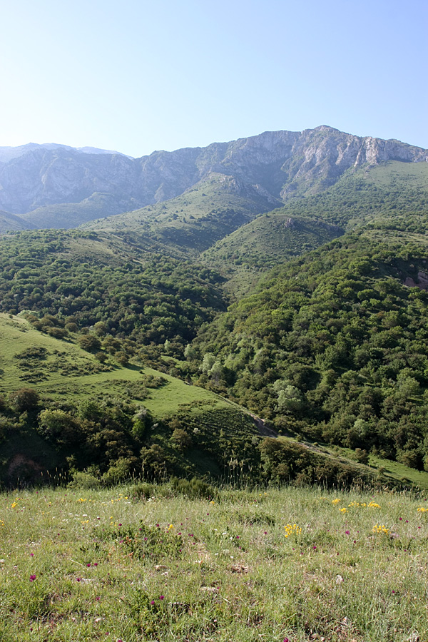 Ущелье Кызылбулак, image of landscape/habitat.