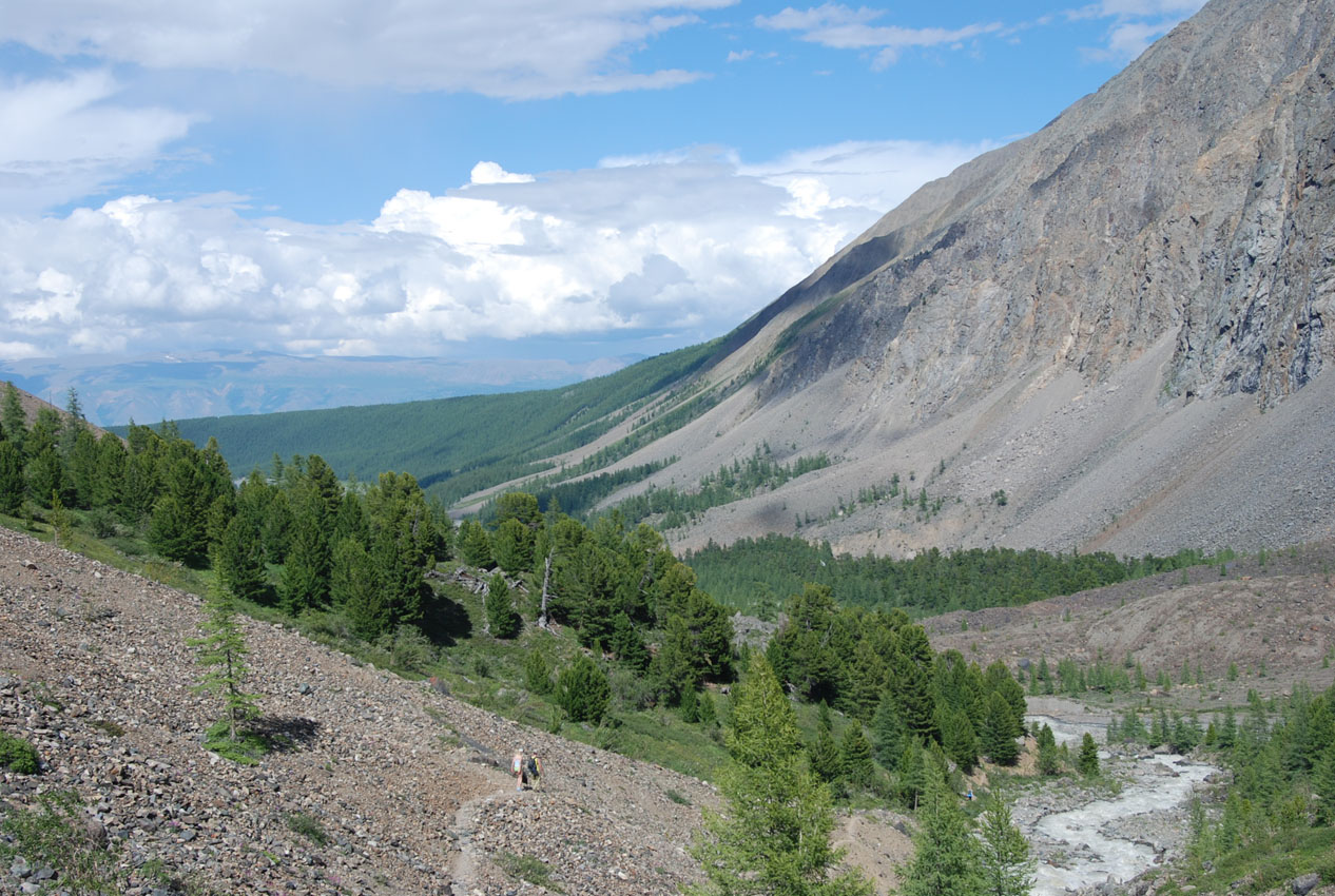 Верховья реки Актру, image of landscape/habitat.