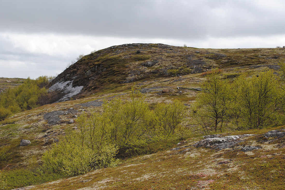 Окрестности Мурманска, image of landscape/habitat.