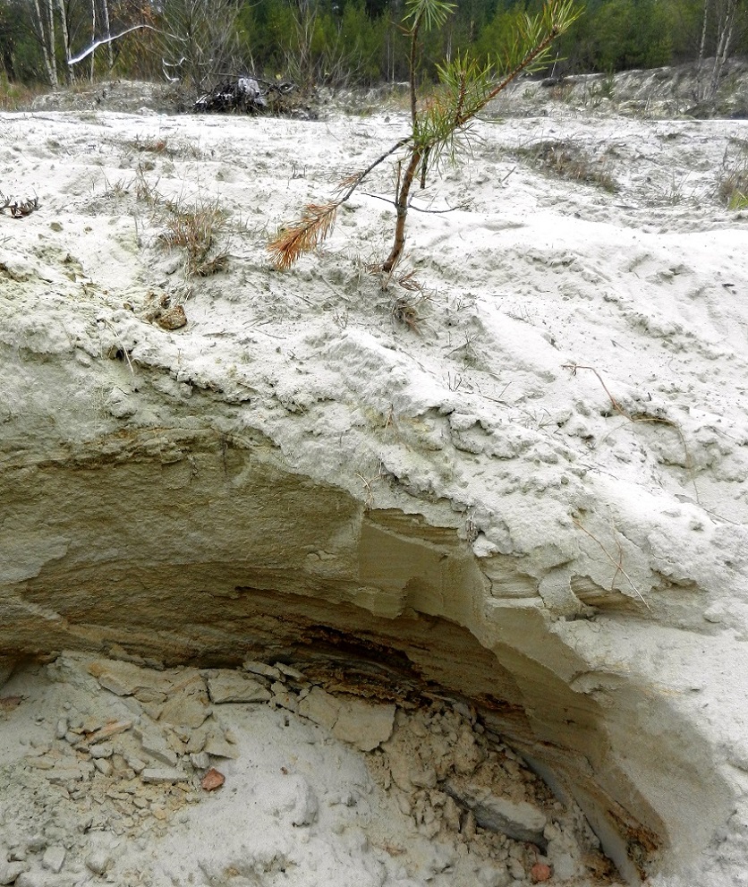 Песчаные карьеры Электрогорска, image of landscape/habitat.