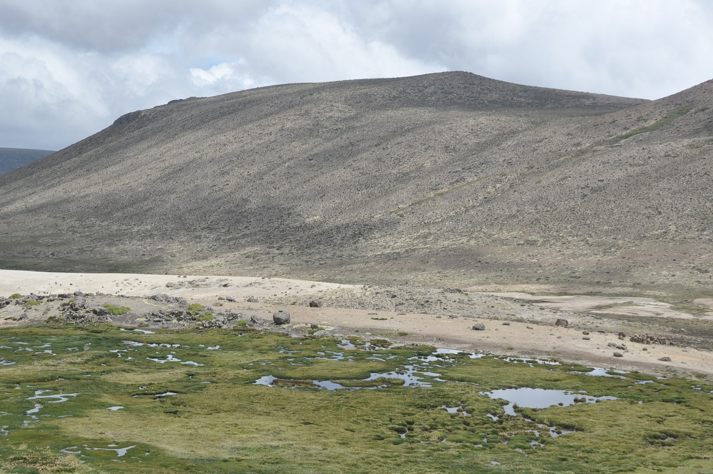 Окрестности вулкана Чачани, image of landscape/habitat.