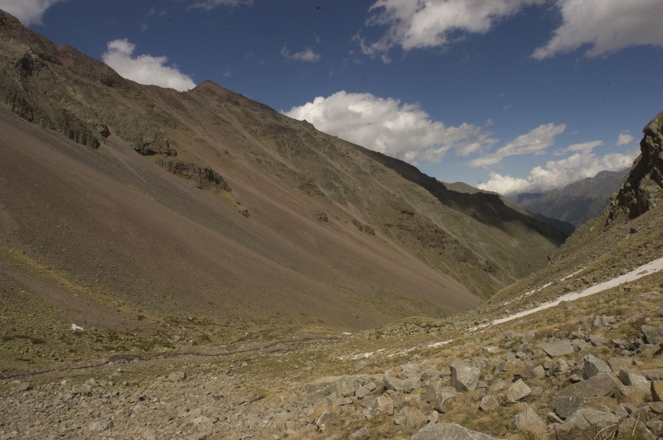 Долина реки Сылтрансу, image of landscape/habitat.