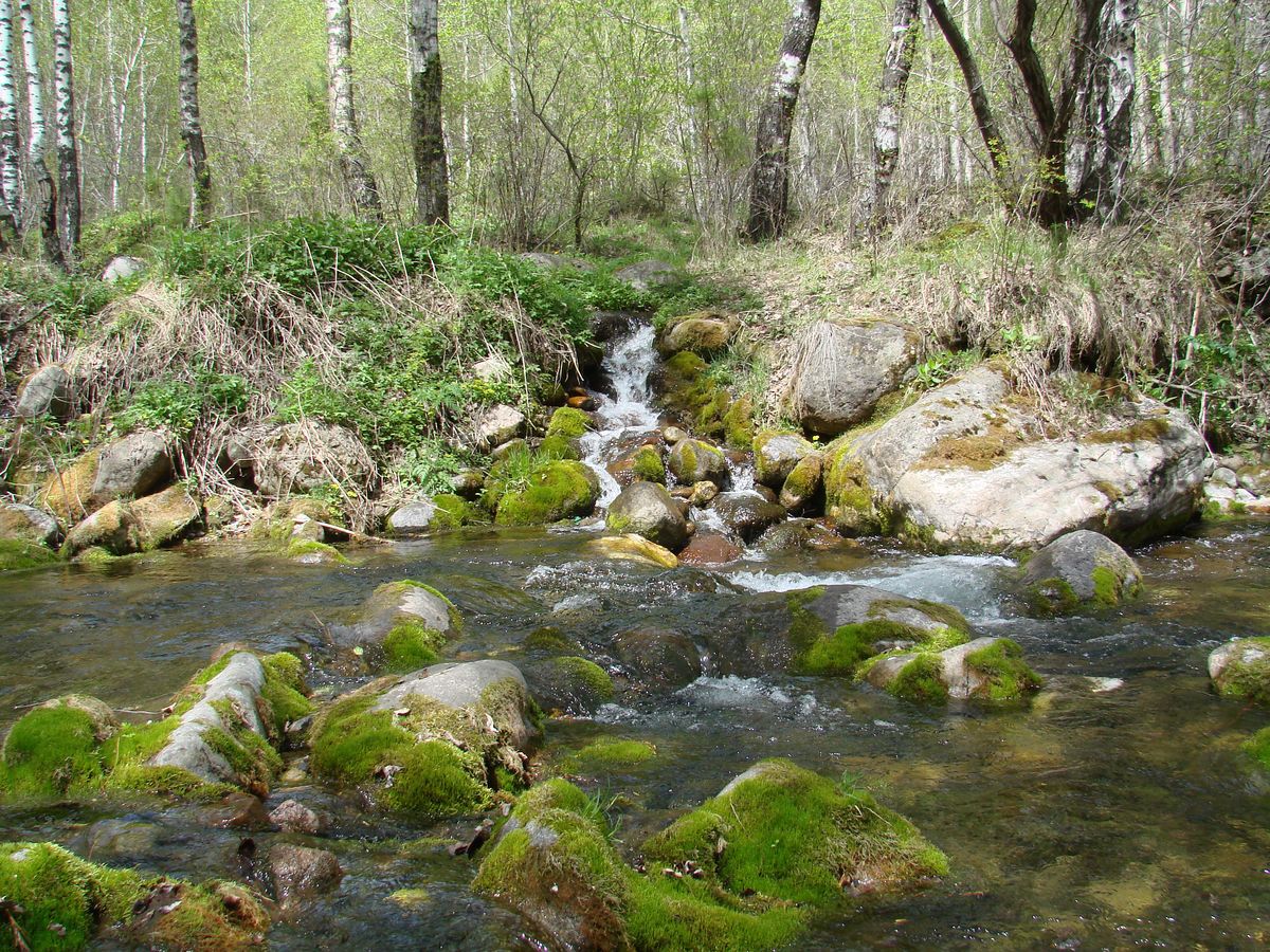 Слюдянка, image of landscape/habitat.