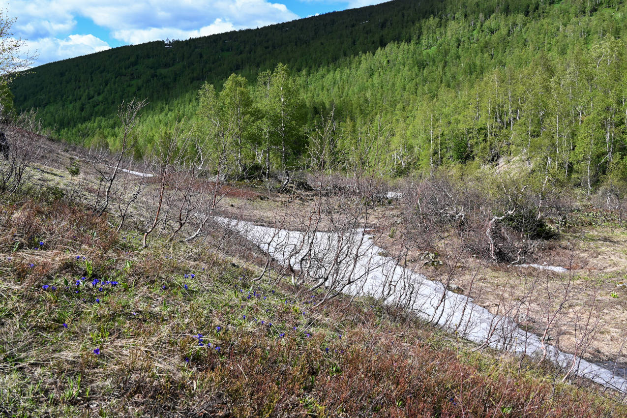 Озеро Ивановское, image of landscape/habitat.