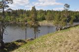 Image of landscape
