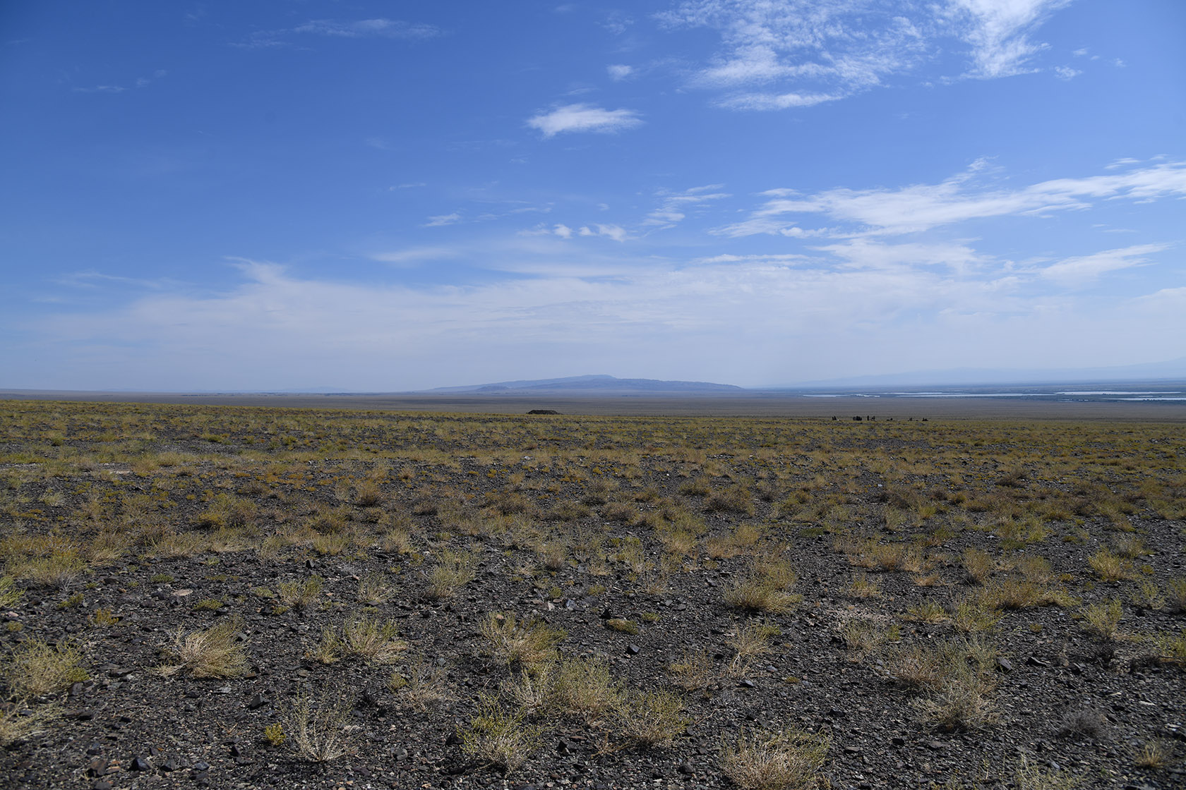 Алтын-Эмель, image of landscape/habitat.