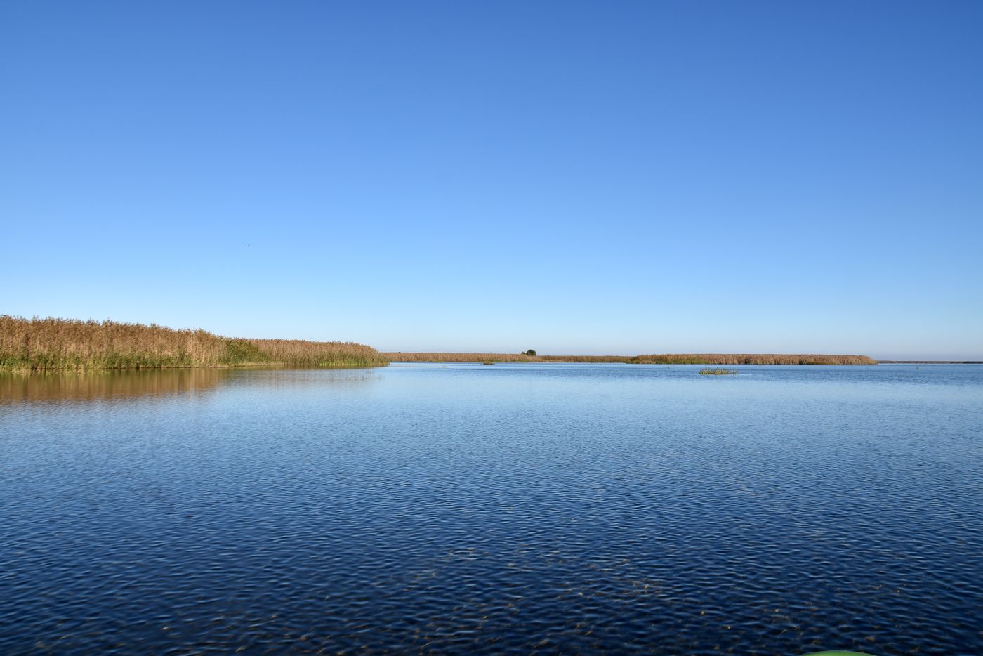 Дельта (нижняя зона), image of landscape/habitat.