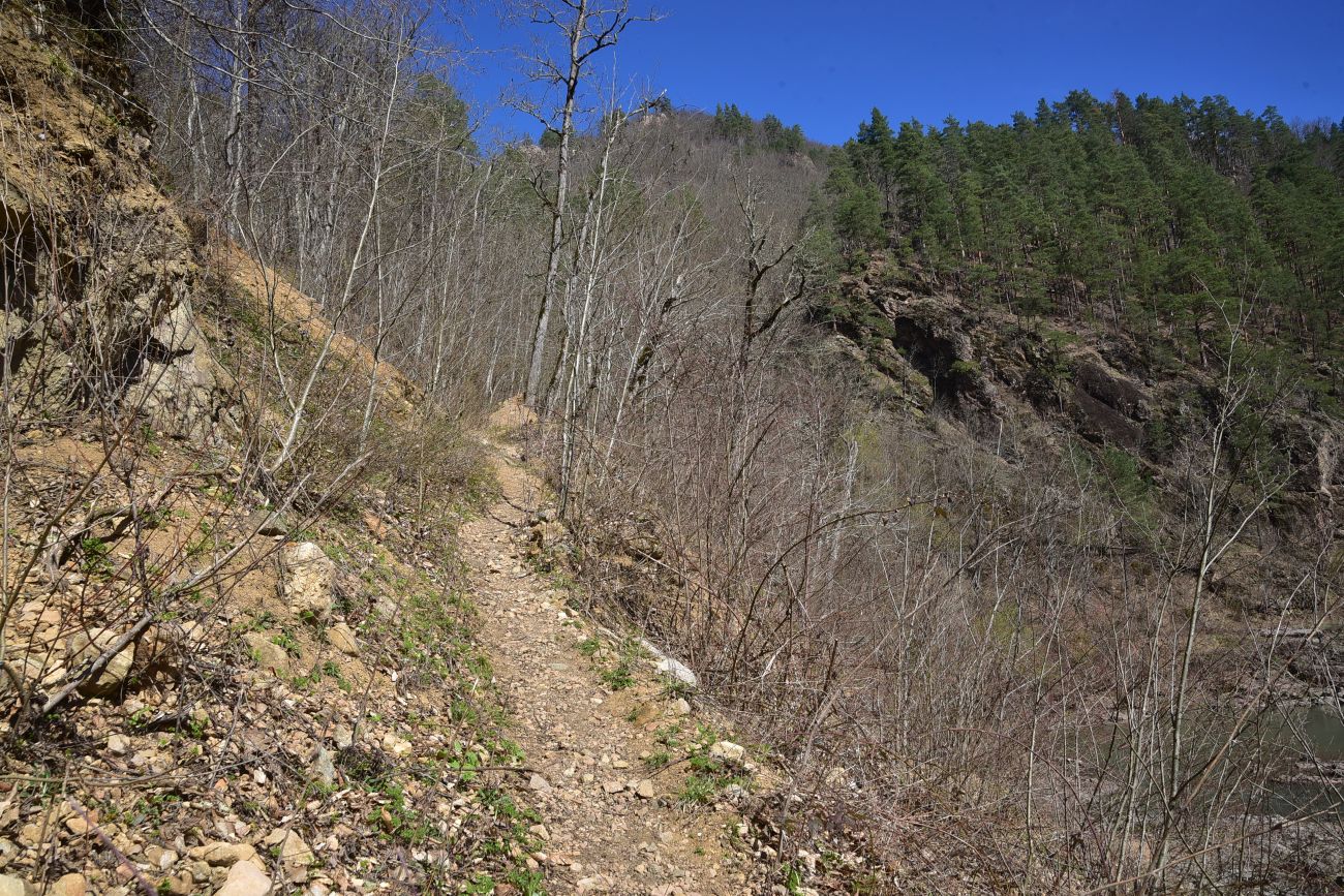 Устье ручья Сибирь и окрестности, image of landscape/habitat.
