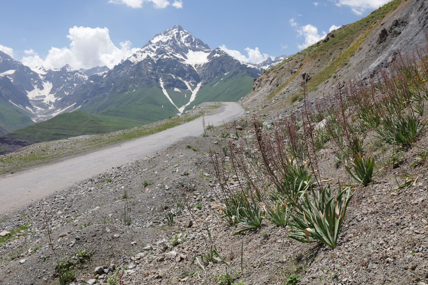 Сияку, image of landscape/habitat.