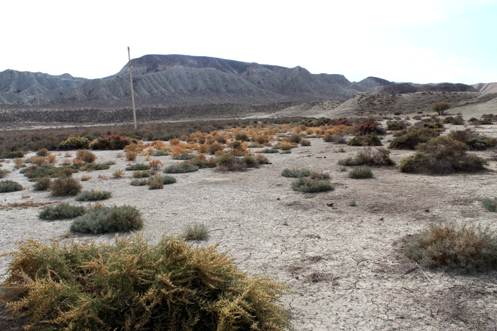 Терсакан, image of landscape/habitat.