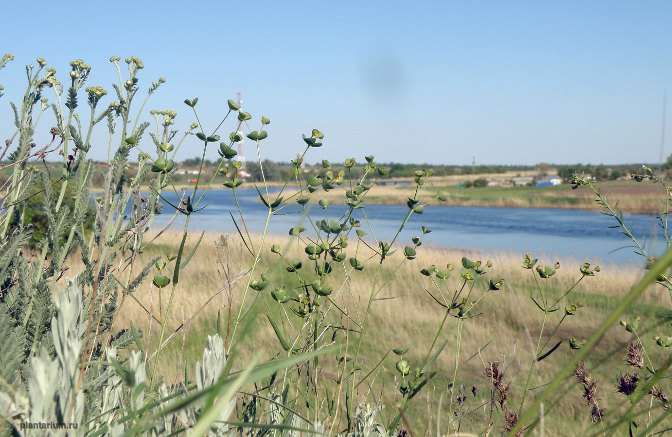 Сухой склон, image of landscape/habitat.