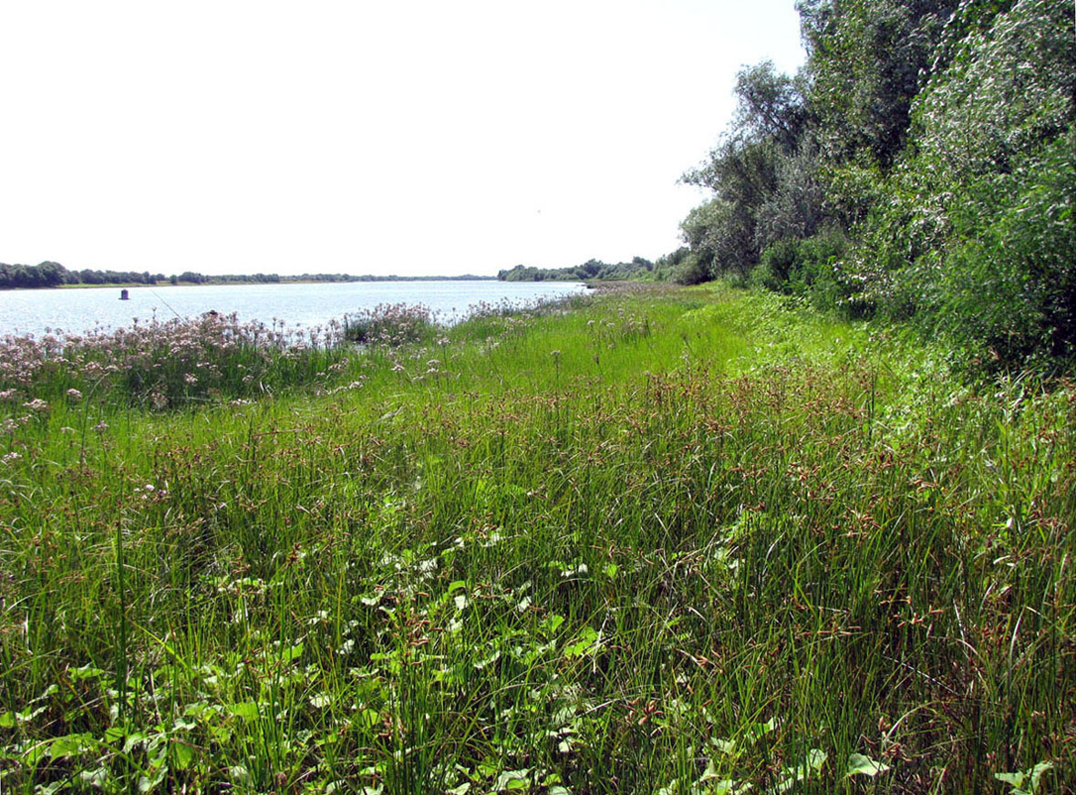 Бузан, image of landscape/habitat.