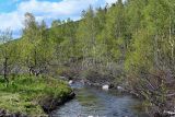 Озеро Ивановское, image of landscape/habitat.