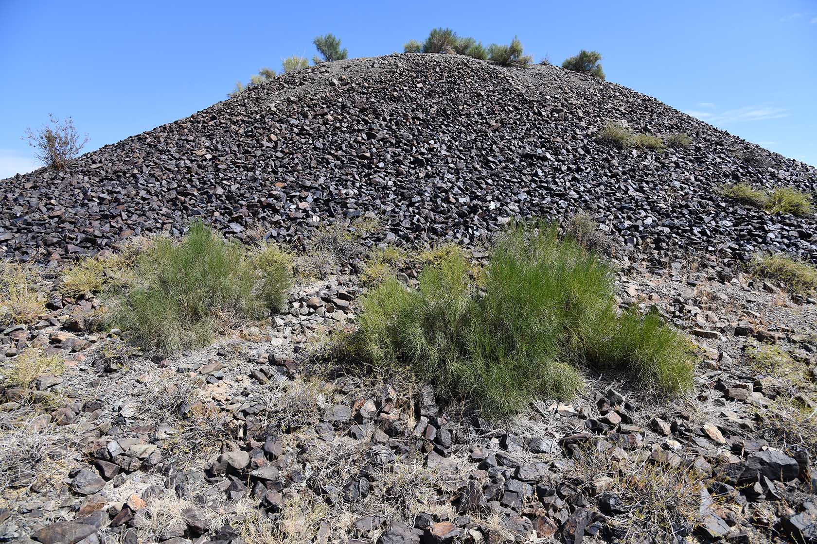 Алтын-Эмель, image of landscape/habitat.