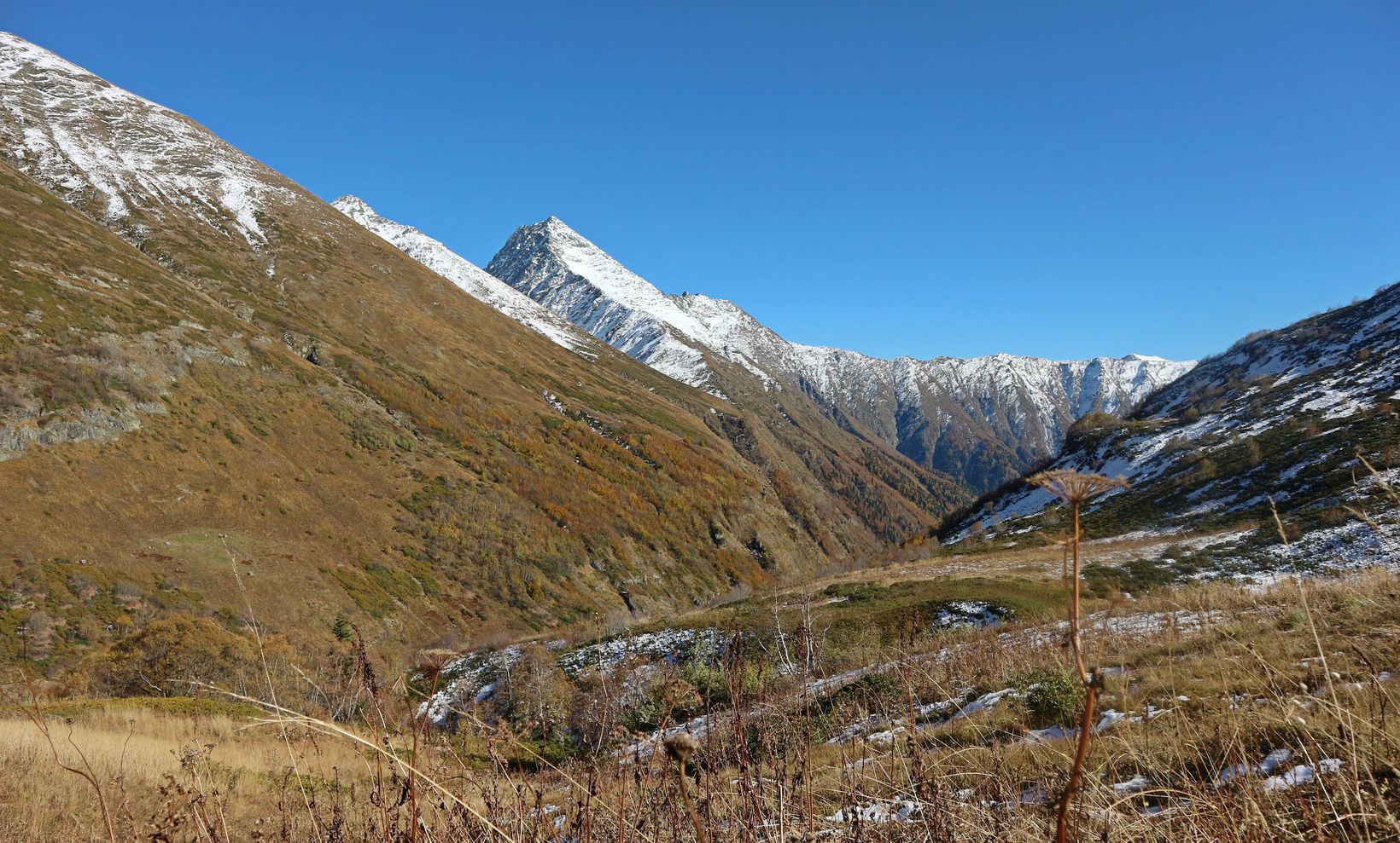 Перевал Псеашхо, image of landscape/habitat.