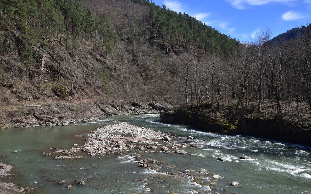 Устье ручья Сибирь и окрестности, изображение ландшафта.
