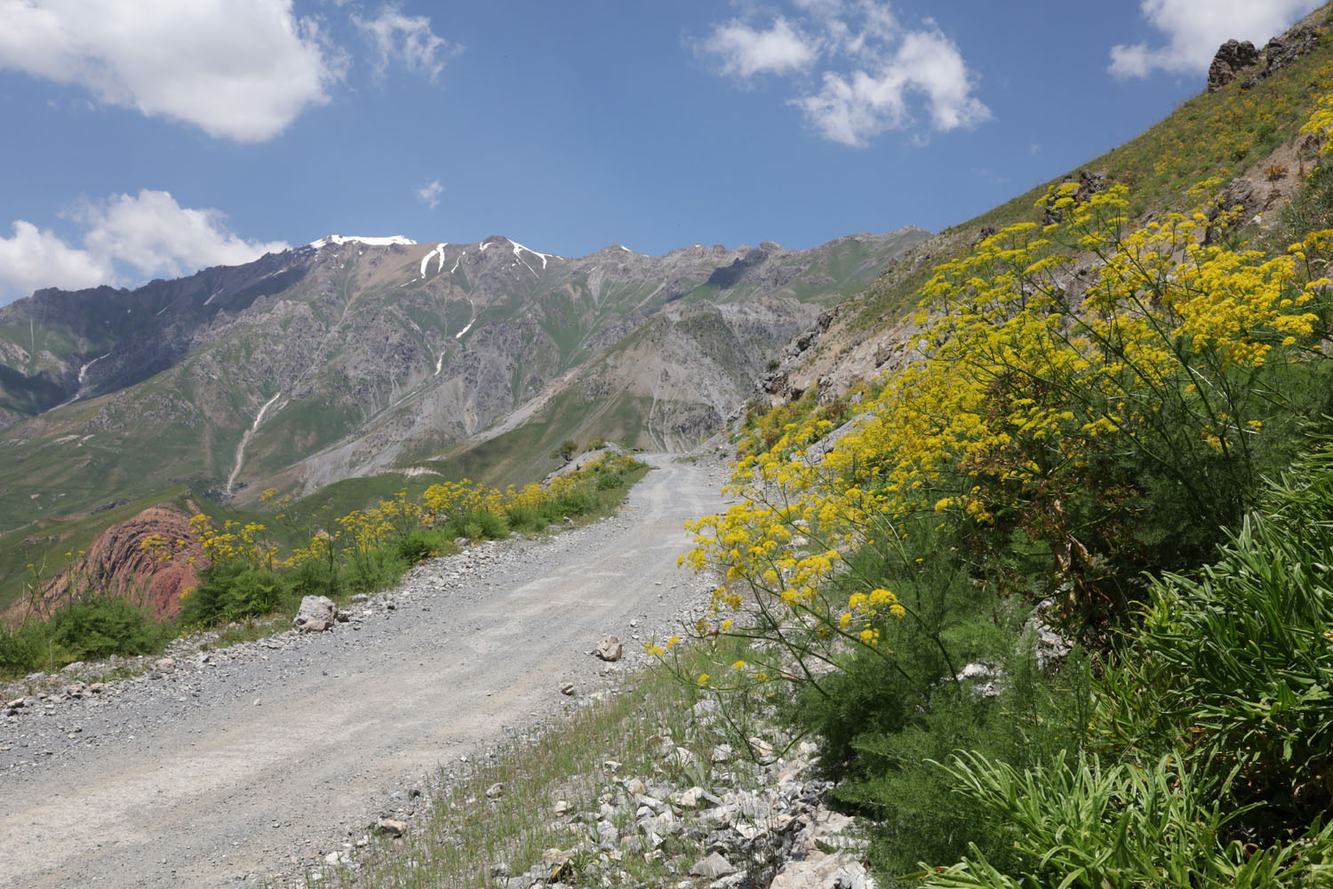 Сияку, image of landscape/habitat.