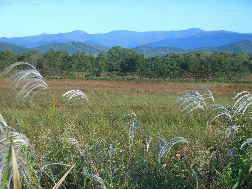 Новолитовск, image of landscape/habitat.