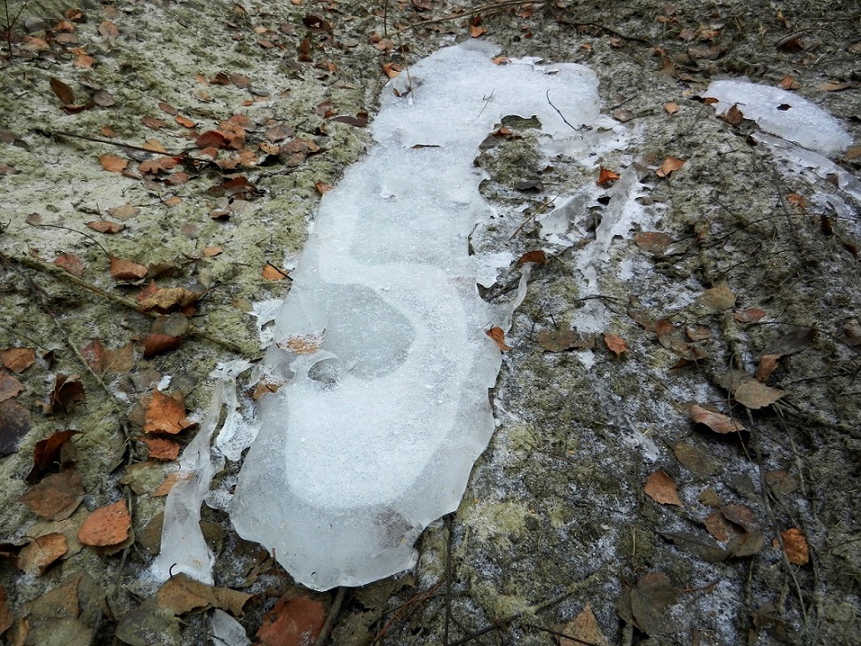 Песчаные карьеры Электрогорска, image of landscape/habitat.