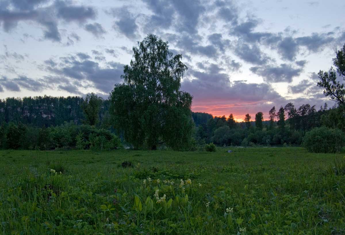 Окрестности Жеребчикова гребня, image of landscape/habitat.