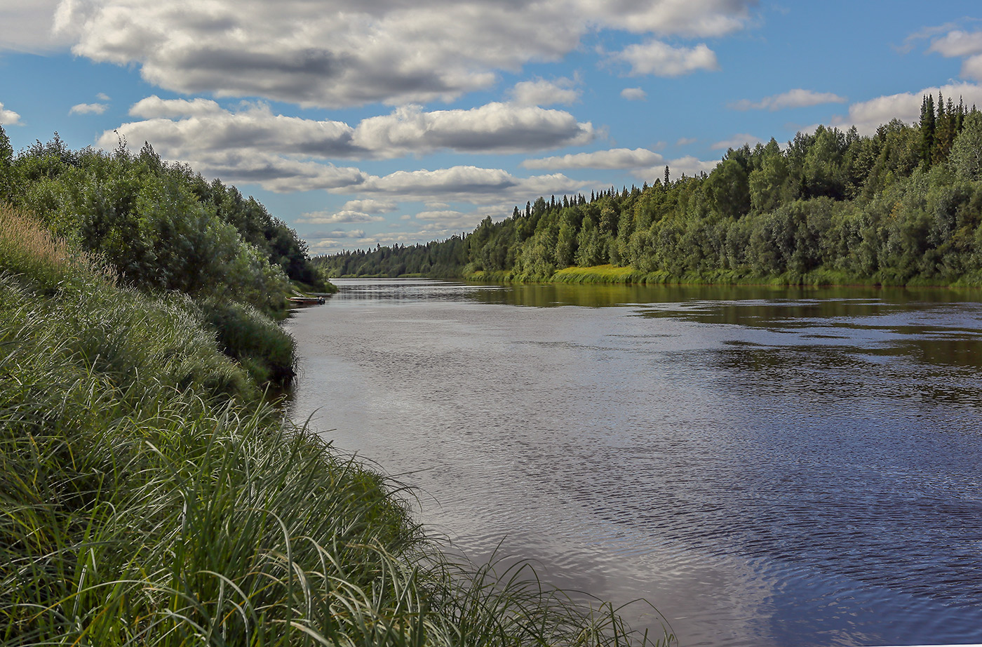 Окрестности посёлка Тупрунка, image of landscape/habitat.