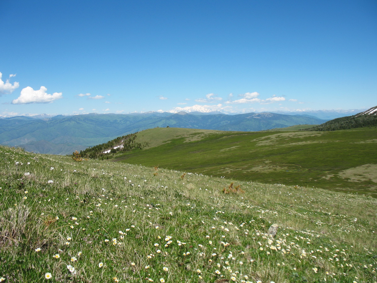 Перевал Бурхат, image of landscape/habitat.