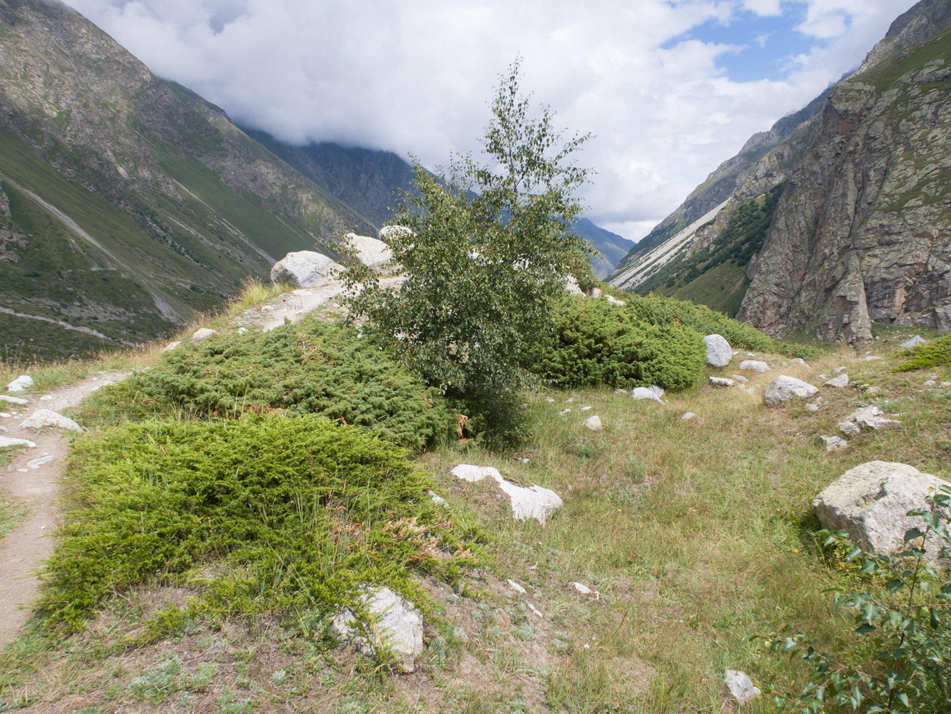 Морена у альплагеря «Безенги», image of landscape/habitat.