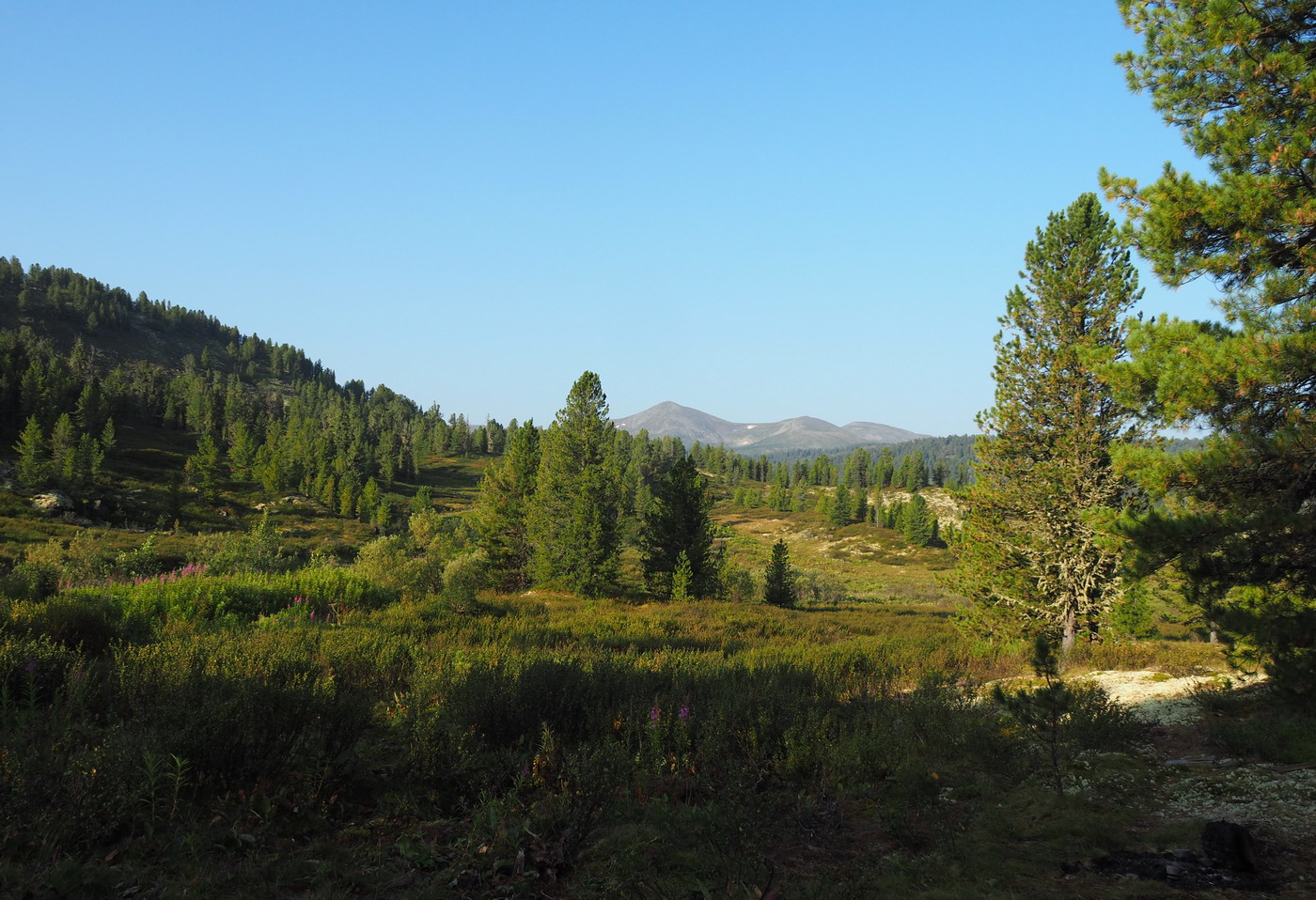 Чёрное озеро, image of landscape/habitat.