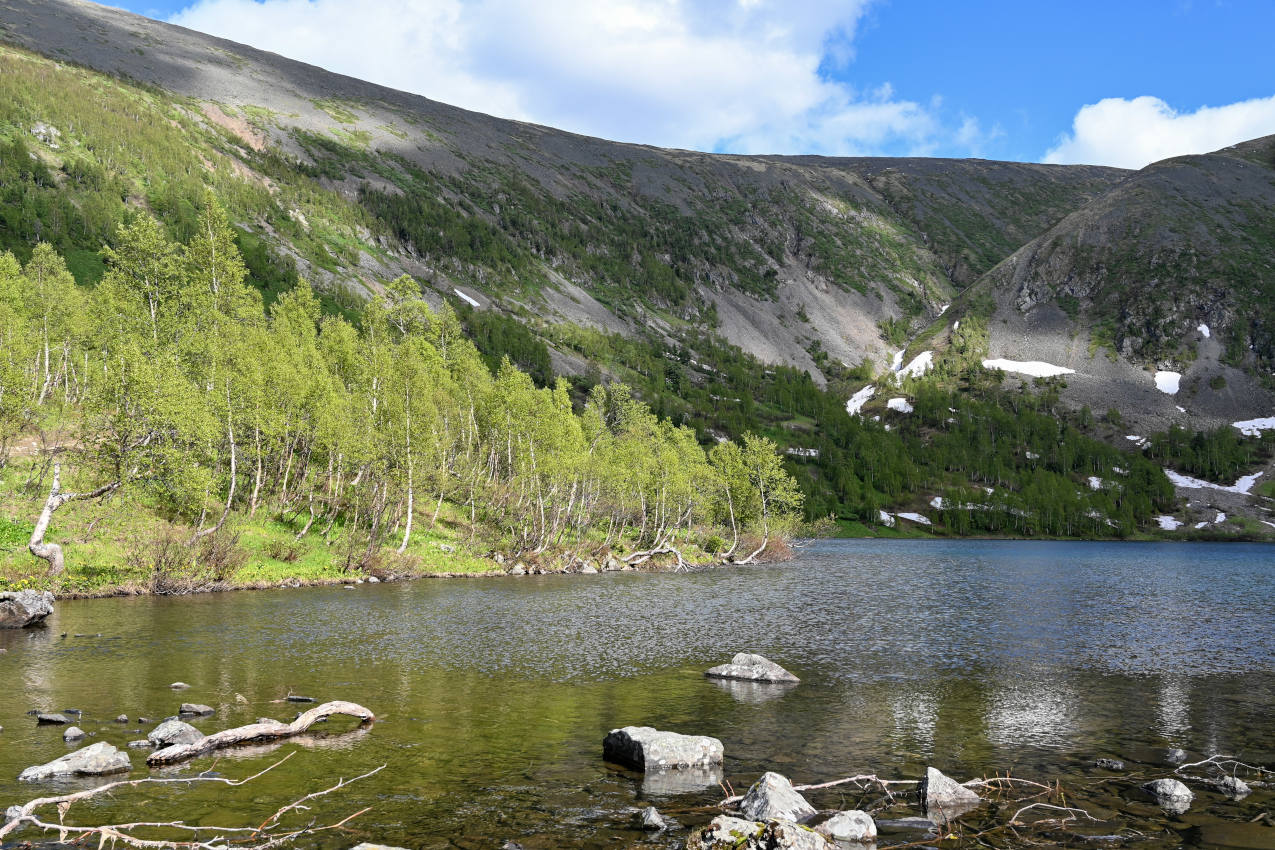 Озеро Ивановское, image of landscape/habitat.