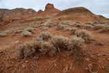 Горы Улькен-Богуты, image of landscape/habitat.