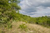 Image of landscape